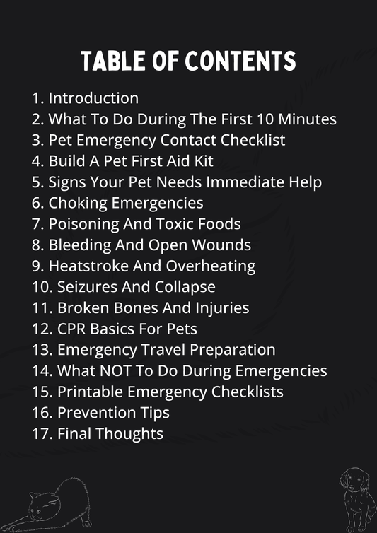 The First 10 Minutes Emergency Steps That Could Save Your Pet’s Life